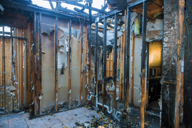 Professional Fire Damage Repair technician working in Glyndon, MN
